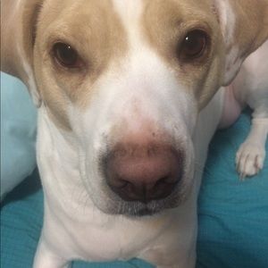 Meet your Posher, Lyn